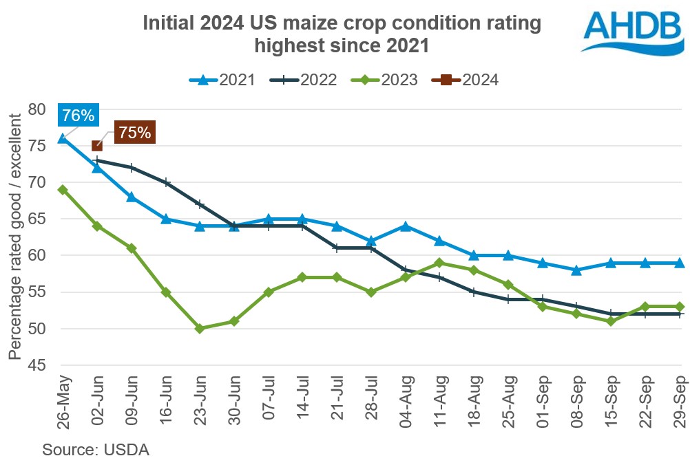 Chart showing the percentage of US maize crops rated as good/excellent in 2024 is highest since 2021